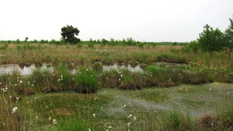 Wim van Opbergen geeft lezing in Deurne over ‘Water in de Peel’; van ontginning tot bescherming