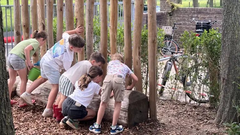 Met nieuw inspiratieplatform en subsidie van provincie moeten schoolpleinen in Peelregio ‘groenblauw’ worden