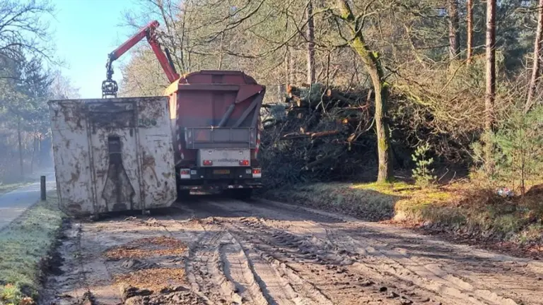 Fractie PGP verbaast zich over snoei- en kapwerkzaamheden in Deurne tijdens broedseizoen