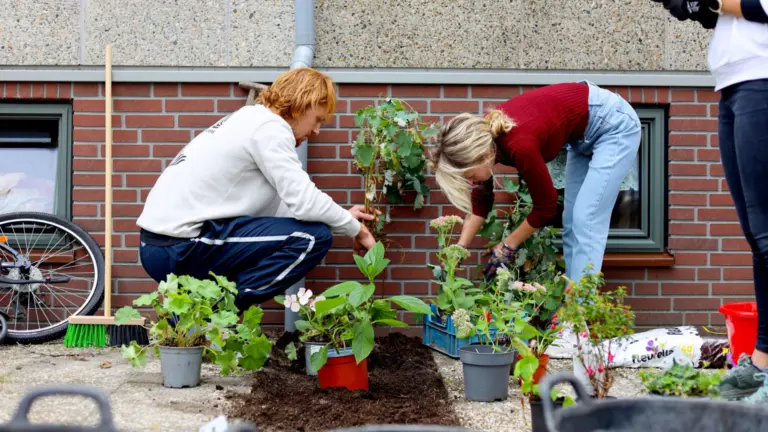Inwoners van Peelgemeenten gaan strijd met elkaar aan bij NK Tegelwippen voor meer groen
