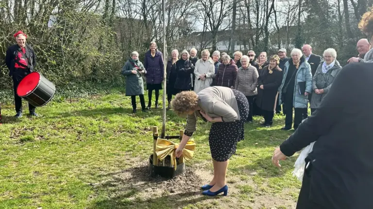 Notenboom in Tuinpad Park maakt mijlpaal van 100-jarig bestaan Deurnes Gemengd Koor zichtbaar