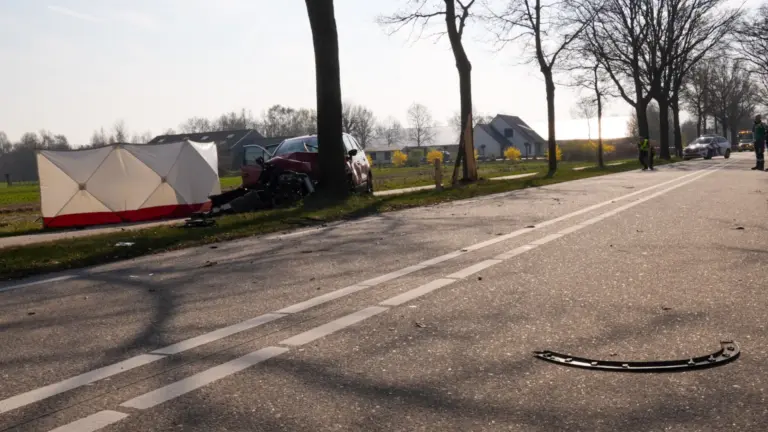Automobiliste komt om het leven bij eenzijdig verkeersongeluk op Zeelandsedijk in Elsendorp