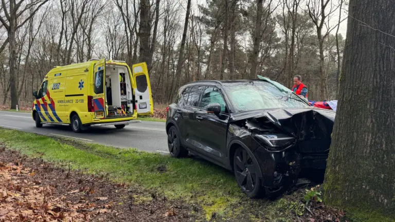 Auto knalt tegen boom op Stippelberg tussen Milheeze en De Rips