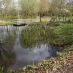 TOERISTISCH SEIZOEN OSSENBEEMD (29)