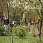 TOERISTISCH SEIZOEN OSSENBEEMD (44)