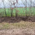 BERMBRAND-HAVERWEG-3