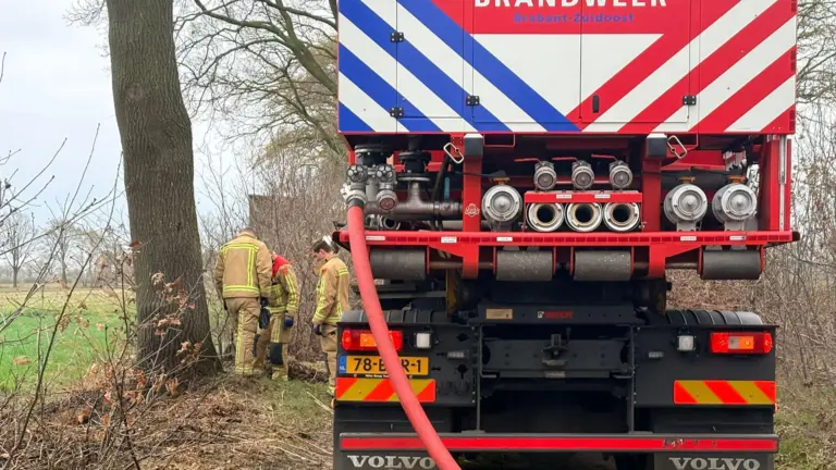 Hulpdiensten weten bermbrand op Haverweg in Deurne snel te blussen