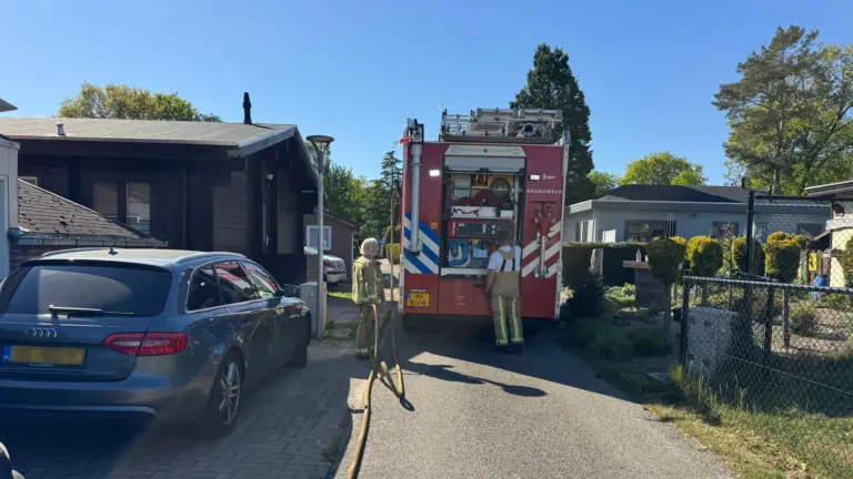 Conifeer vliegt in brand door barbecue in Bakel; omstanders voorkomen dat vuur woning bereikt