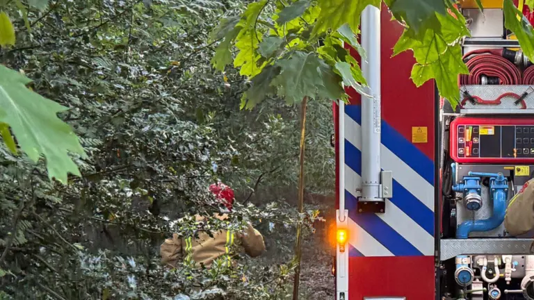 Houten huisje in bossen bij Liessel vliegt in brand; mogelijk asbest in dak