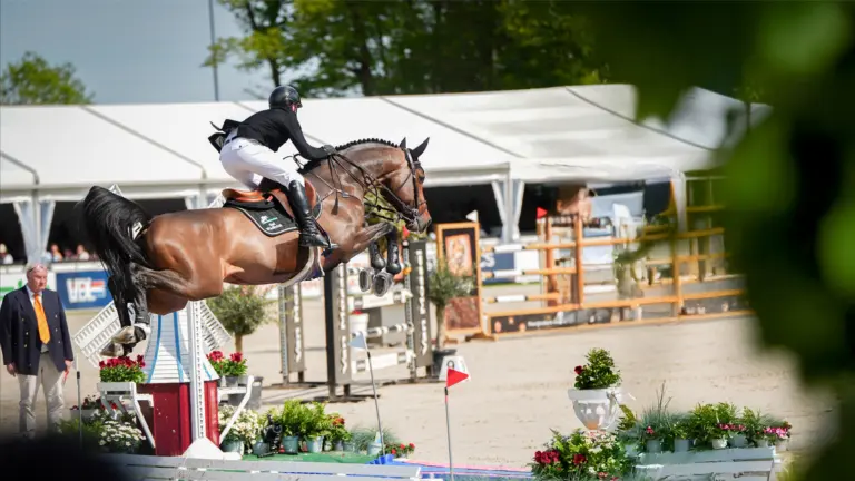 Nederlands Kampioenschap springen van start bij Green Valley Estate in Deurne