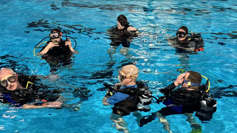 Duikclub OSV Deurne viert 40-jarig bestaan: ‘Een mijlpaal om trots op te zijn’