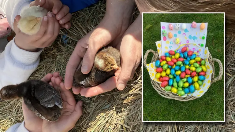 Eitjes zoeken en kuikentjes en geitjes knuffelen op eerste paasdag bij Parkboerderij Deurne