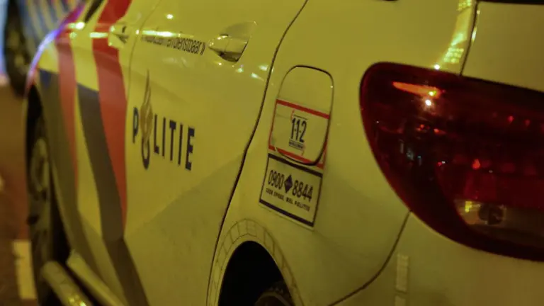 Twee herten overleden na aanrijding door auto op Puttenweg in Ysselsteyn