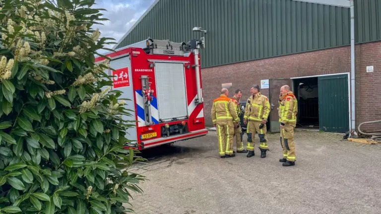 Stalbrand in buitengebied van Vlierden snel geblust; koeien en eigenaar blijven ongedeerd