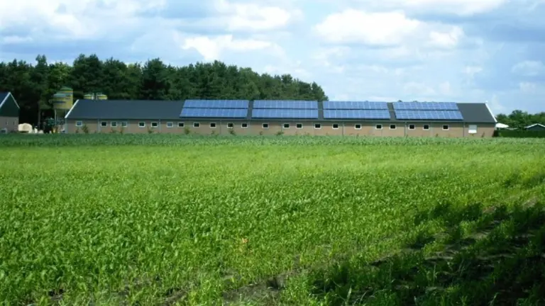 Provincie geeft Brabantse veehouders met bepaalde oudere emissiearme systemen extra tijd om stal aan te passen