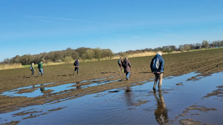 Leden van werkgroep De Kulert spotten vogelnesten: ‘Met drone wordt opsporen stuk eenvoudiger’