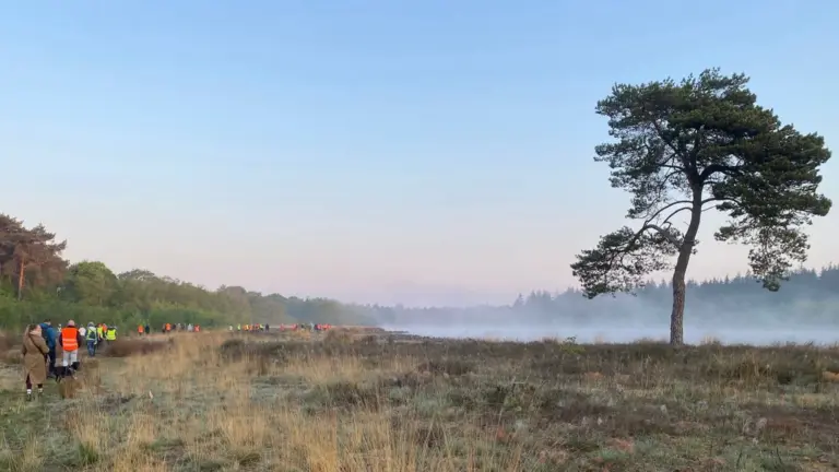 Ruim 80 vroege vogels lopen van donker naar licht in Deurne: ‘Indrukwekkende ochtend’