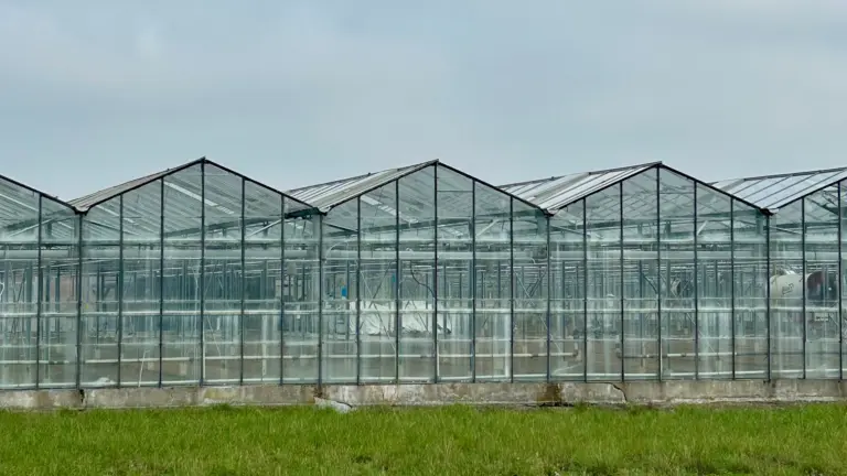 Glastuinbouwgebied van 170 hectare niet haalbaar in Deurne: ‘Oorspronkelijke plannen niet langer realistisch’