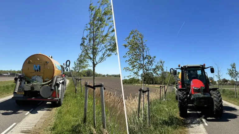 Gemeente Deurne besproeit jonge bomen extra met water vanwege langdurige droogte
