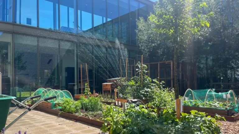 Zomerse temperaturen zorgen voor volop groei en leven in binnentuin van De Vlieger in Deurne