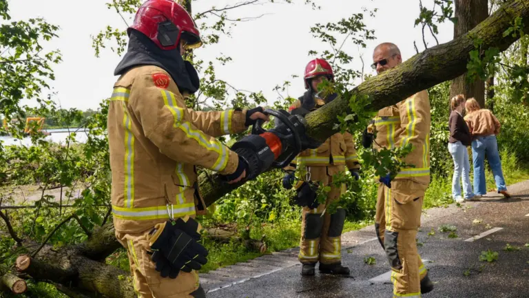 Brandweer maakt korte metten met omgewaaide bomen op Snoertesbaan tussen Deurne en Liessel