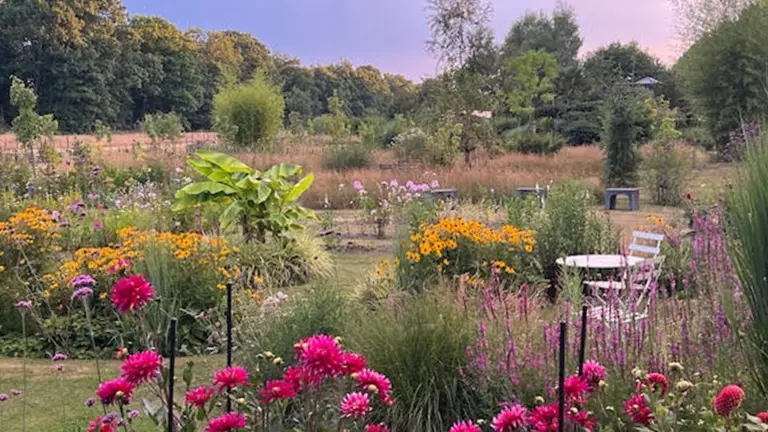 Tuineigenaren in Liessel en Griendtsveen geven kijkje in hun groene paradijsjes