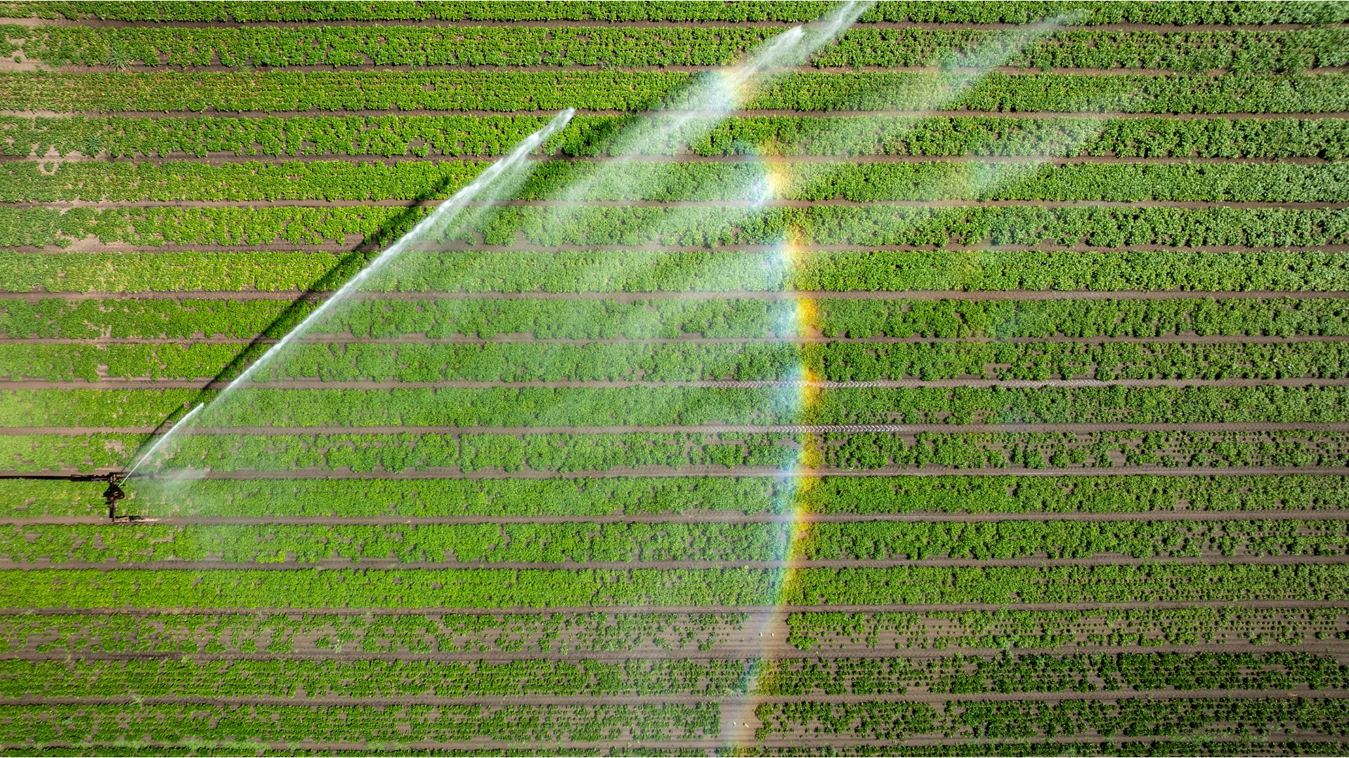 Waterschap breidt onttrekkingsverbod in regio Deurne uit vanwege aanhoudende droogte