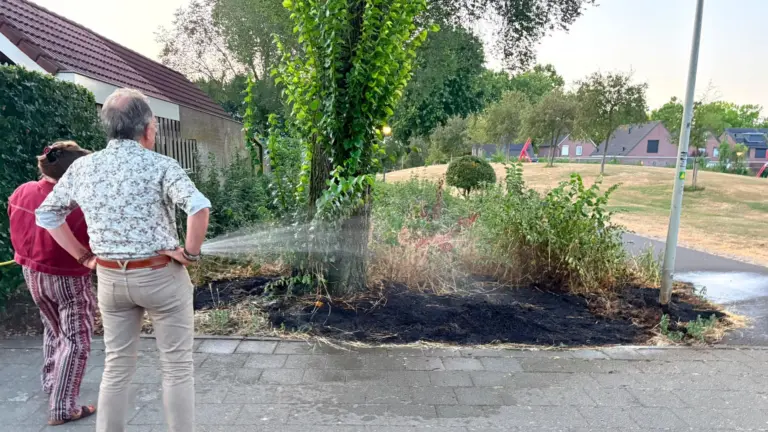 Wijkbewoners blussen zelf bermbrandje aan Hennegras in Deurne