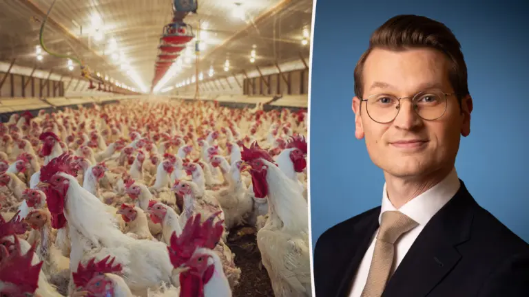 Minister Jaimi van Essen wil deze zomer nog om de tafel met provincie en pluimveehouders
