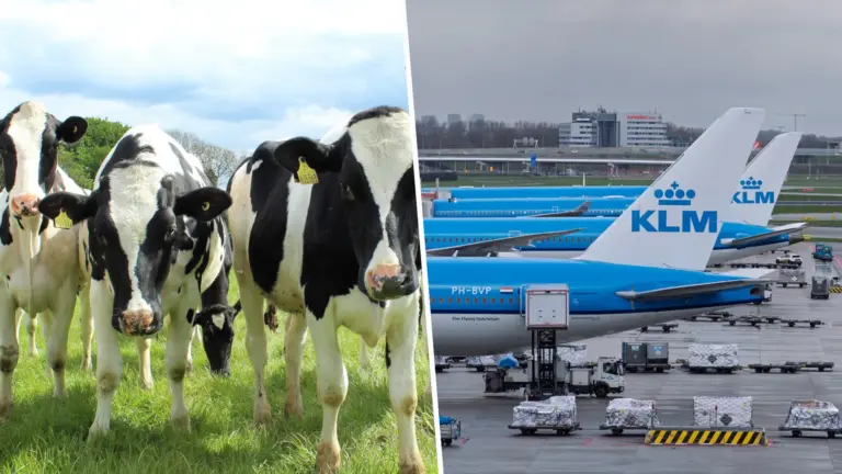 BMF en ZLTO vinden dat kabinet met twee maten meet: ‘Luchtvaartsector wordt volledig ontzien bij stikstofplannen’