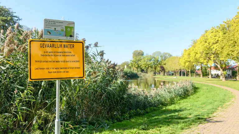 Meldingen van blauwalg op meerdere plekken in Deurne; ´Voorzichtig bij vijvers, sloten en beken’