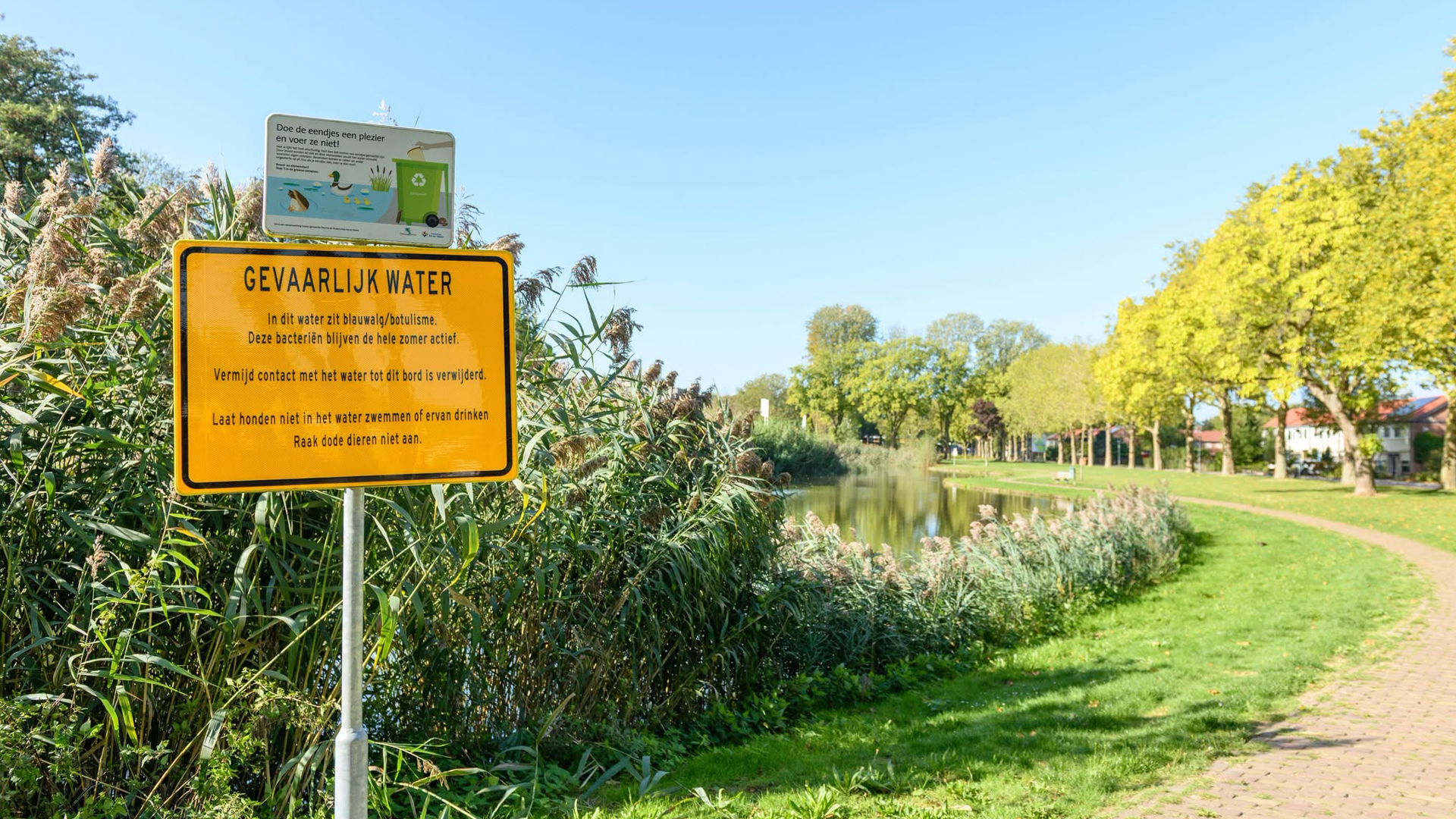Meldingen van blauwalg op meerdere plekken in Deurne; ´Voorzichtig bij vijvers, sloten en beken’