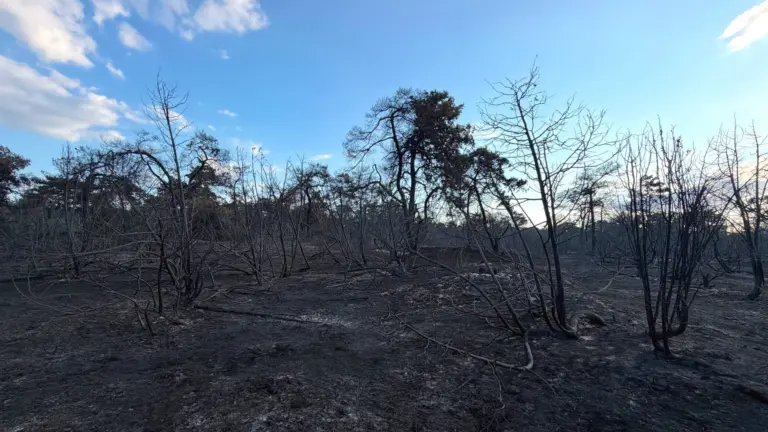 Natuurbrand Oostrum en rookoverlast in regio voorlopig nog niet voorbij: ‘Brandhaarden laaien opnieuw op’