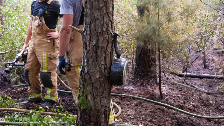 Brandweer stuit bij blussen van natuurbrand in Deurnese bossen op sporen van bewoning