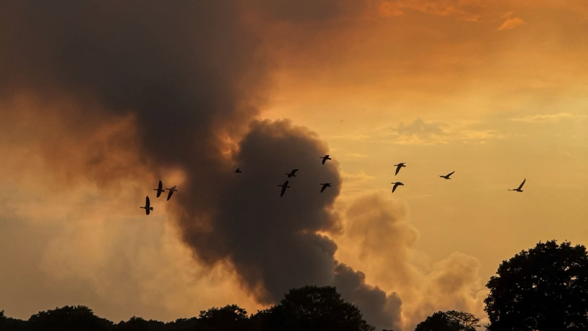 Zeer grote natuurbrand bij Oostrum nog niet onder controle; ‘100 hectare staat in brand’