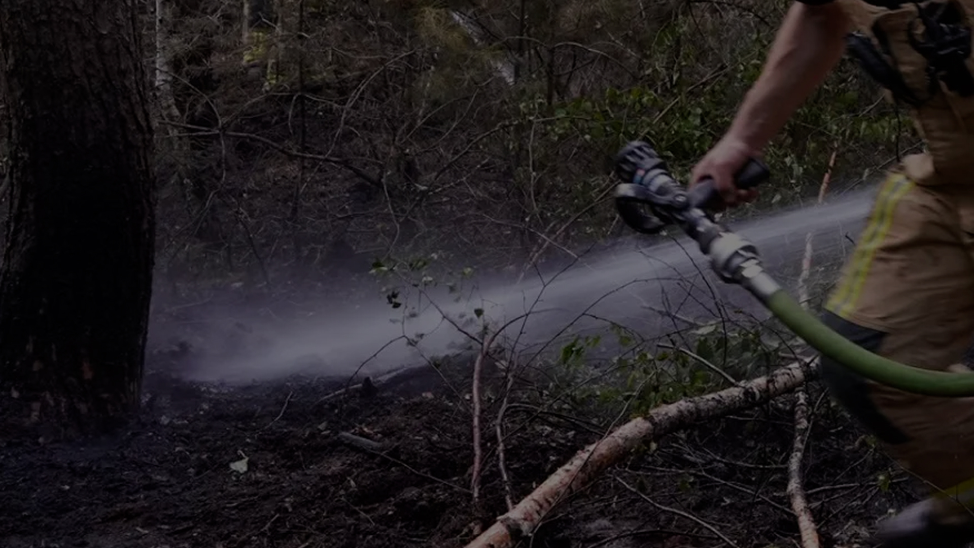 Brandweer rukt opnieuw uit voor natuurbrand in bossen aan Helmondsingel in Deurne