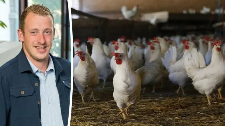 DeurneNU spreekt grote zorgen en afkeur uit naar provincie over intrekken van vergunningen pluimveebedrijven