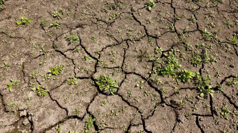Hete zomer bezorgt waterschap Aa en Maas veel werk: ‘Droogte laat ons watersysteem piepen en kraken’