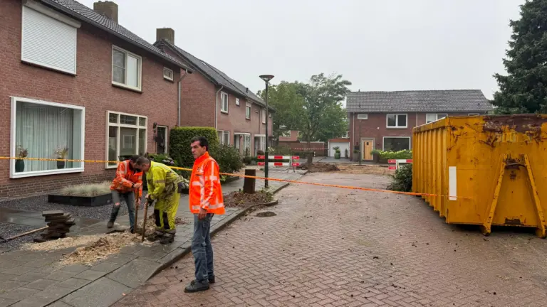 Gasleiding geraakt bij verwijderen van boom in Marijkestraat in Bakel