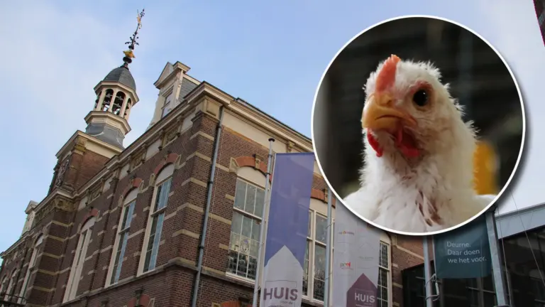 Onafhankelijke Groep Deurne haalt uit naar landelijke politieke partijen in stikstofdiscussie: ‘Boter op het hoofd’