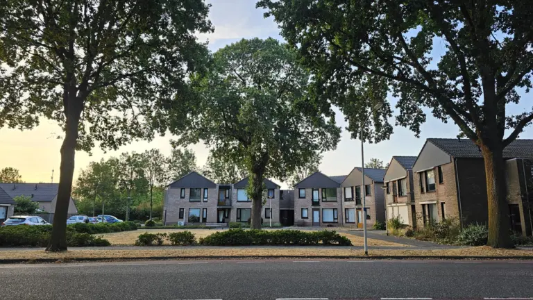 Kastanjeboom in Felix Timmermansstraat herinnert aan Deurnese weg die al 50 jaar niet meer bestaat