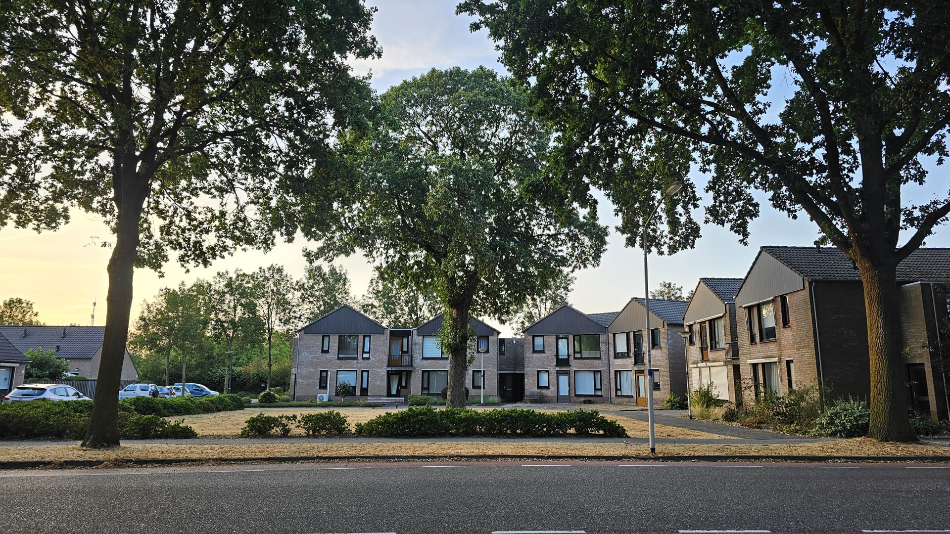 Kastanjeboom in Felix Timmermansstraat herinnert aan Deurnese weg die al 50 jaar niet meer bestaat