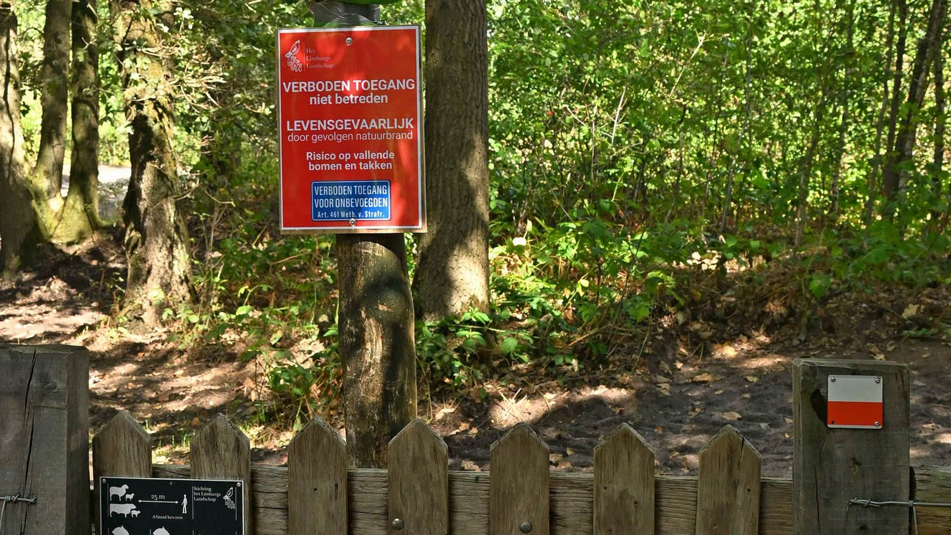 Natuurbrand in Oostrum na ruim twee weken volledig gedoofd; ‘Gebied blijft verboden toegang’