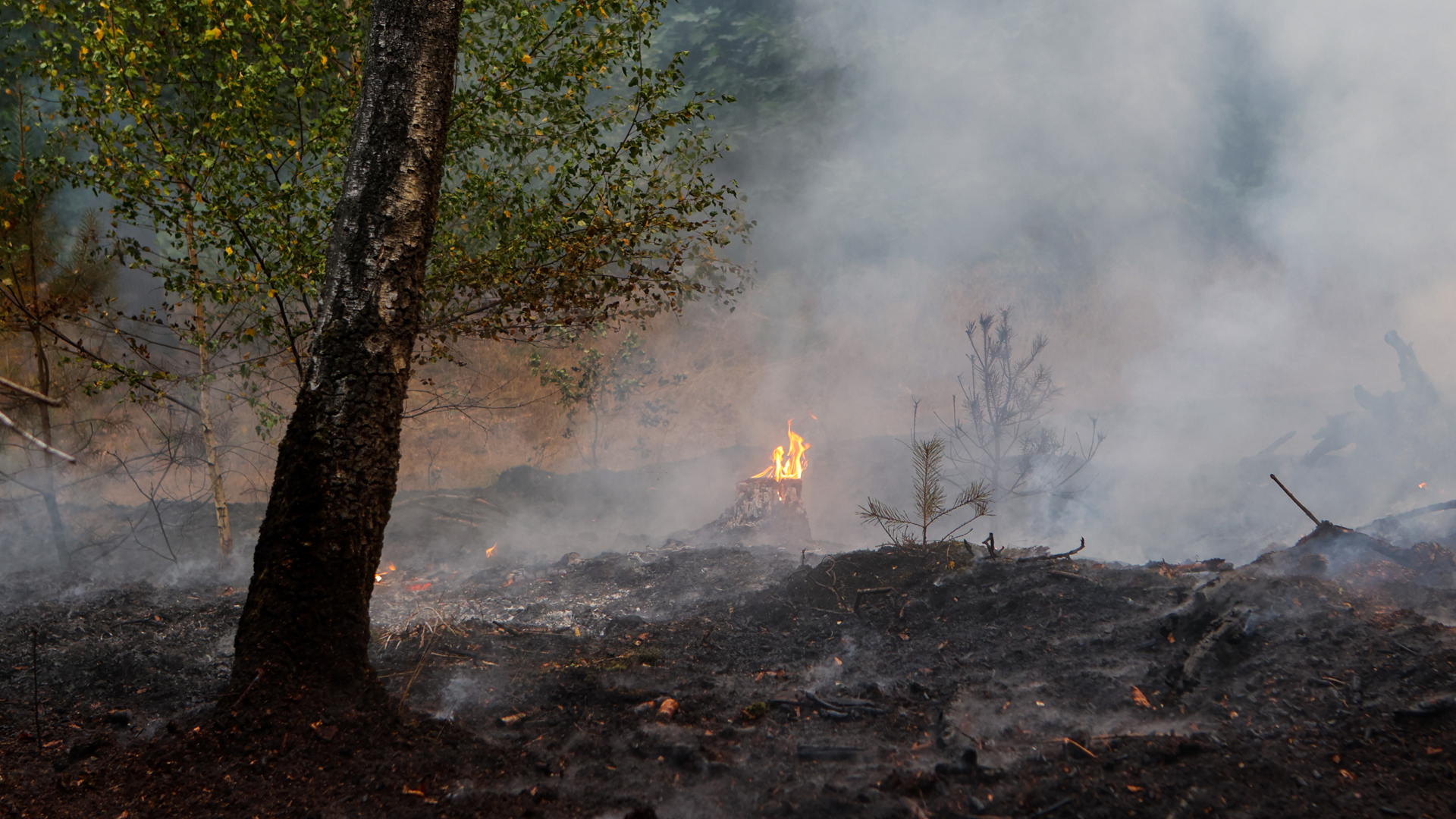 Zeer grote natuurbrand aan Twistweg in Vredepeel geblust; brandweer zet droneteam in