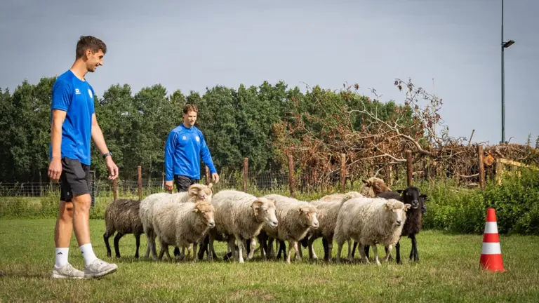 SV Deurne klaar voor uitdagend bekerprogramma; blauwwitten bereiden zich voor met schapen hoeden