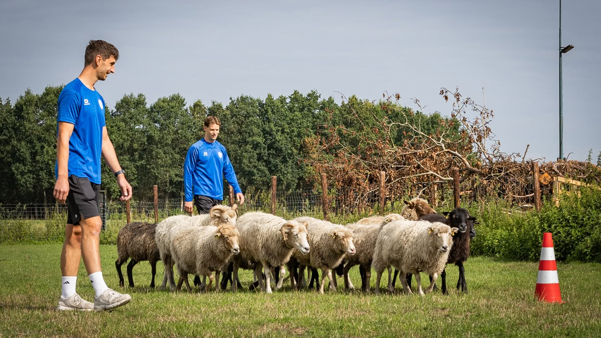 SV Deurne klaar voor uitdagend bekerprogramma; blauwwitten bereiden zich voor met schapen hoeden