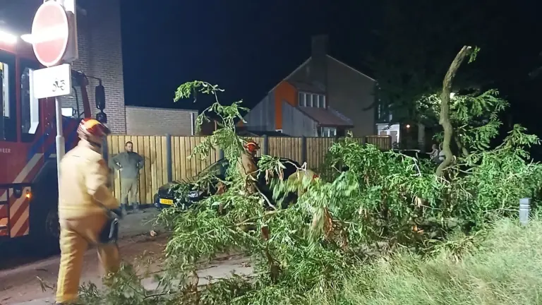 Grote tak van boom breekt af en belandt tegen auto in Brabantstraat in Deurne