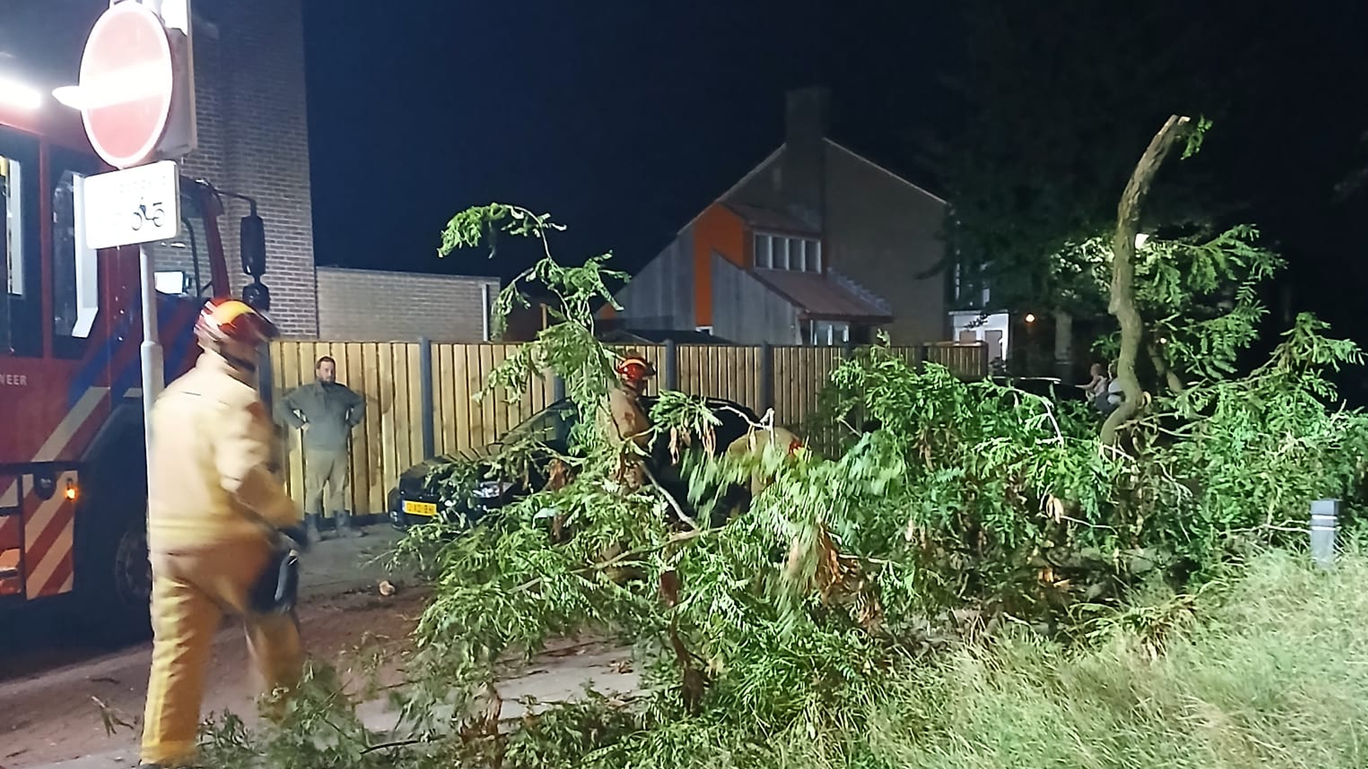 Grote tak van boom breekt af en belandt tegen auto in Brabantstraat in Deurne