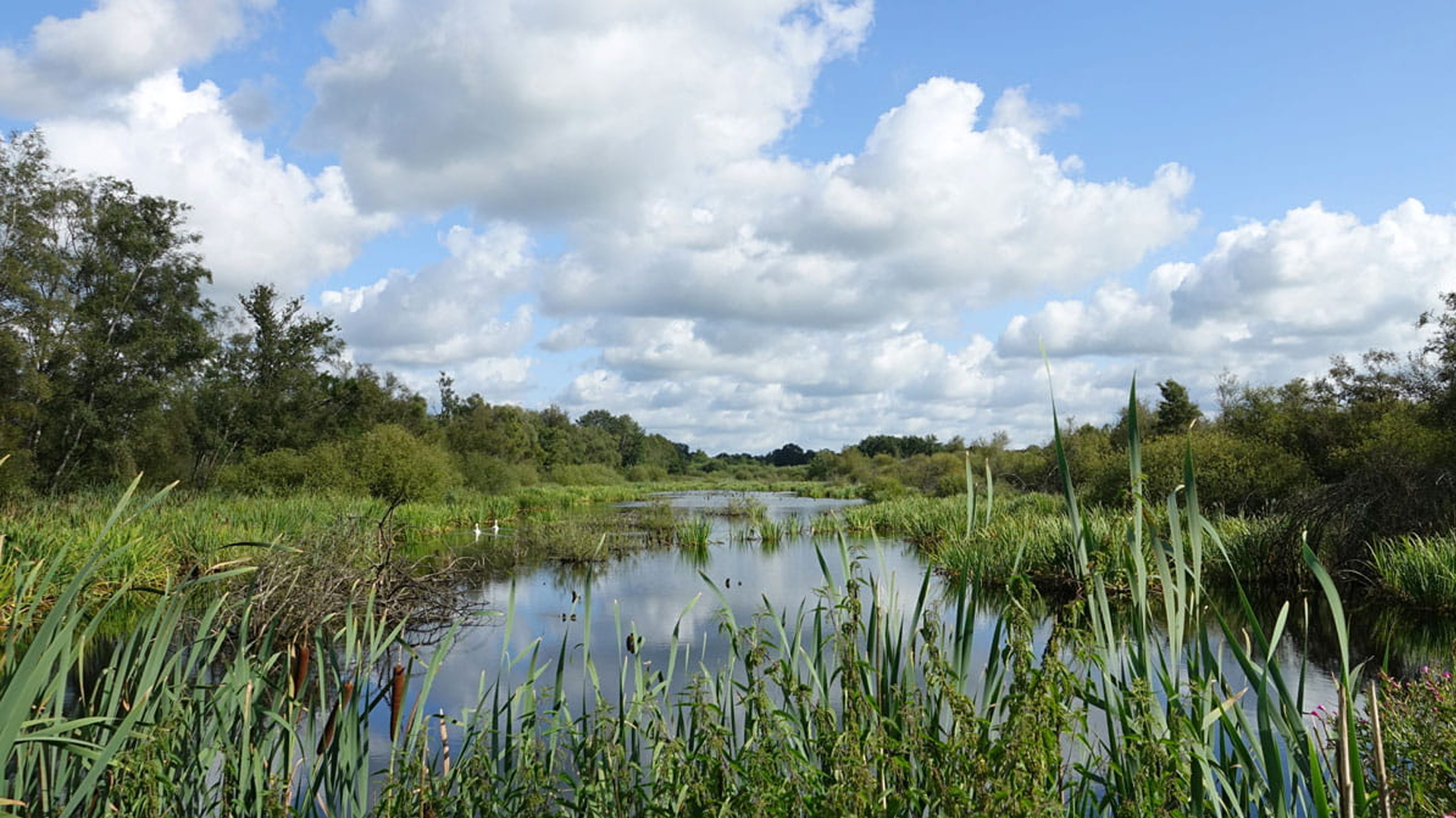 Excursie laat deelnemers kennismaken met verborgen geschiedenis van de Deurnese Peel