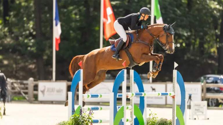 Green Valley Estate met jubileumeditie van CSI Deurne opnieuw middelpunt van paardensportwereld